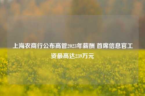 上海农商行公布高管2023年薪酬 首席信息官工资最高达239万元