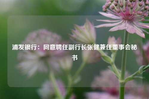 浦发银行：同意聘任副行长张健兼任董事会秘书