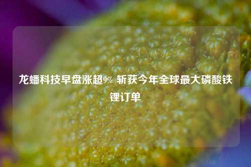 龙蟠科技早盘涨超9% 斩获今年全球最大磷酸铁锂订单