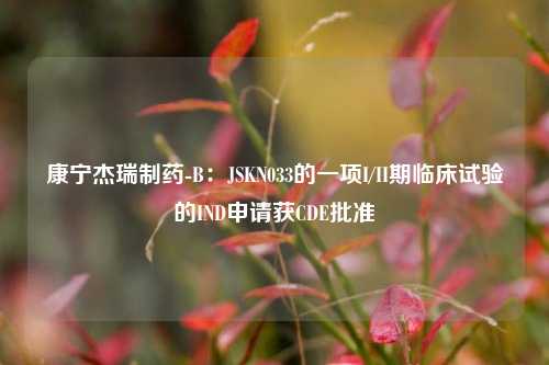 康宁杰瑞制药-B：JSKN033的一项I/II期临床试验的IND申请获CDE批准