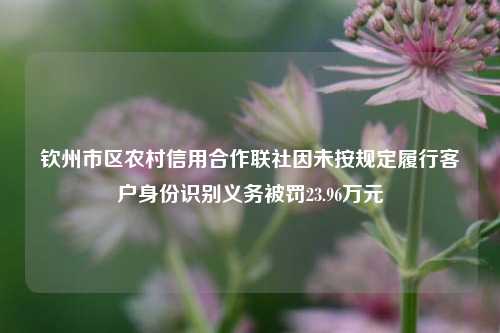 钦州市区农村信用合作联社因未按规定履行客户身份识别义务被罚23.96万元