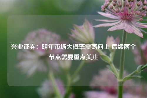 兴业证券：明年市场大概率震荡向上 后续两个节点需要重点关注