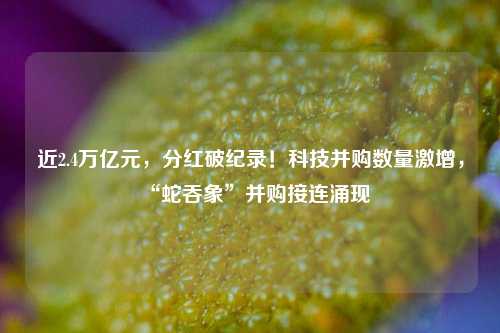 近2.4万亿元，分红破纪录！科技并购数量激增，“蛇吞象”并购接连涌现