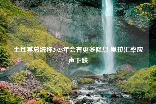 土耳其总统称2025年会有更多降息 里拉汇率应声下跌