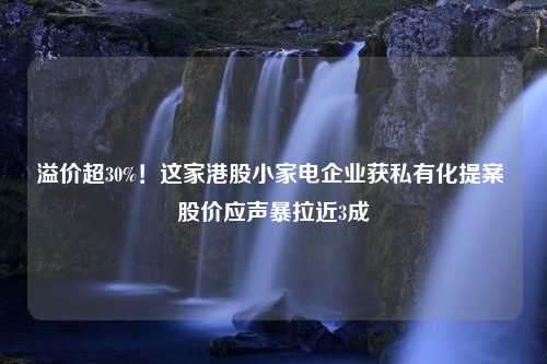 溢价超30%！这家港股小家电企业获私有化提案 股价应声暴拉近3成