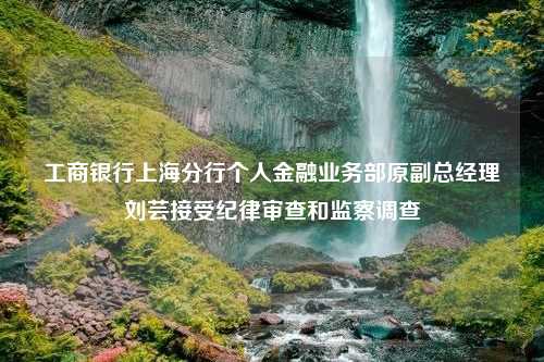 工商银行上海分行个人金融业务部原副总经理刘芸接受纪律审查和监察调查