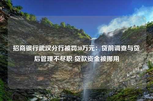 招商银行武汉分行被罚30万元：贷前调查与贷后管理不尽职 贷款资金被挪用