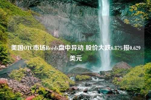 美国OTC市场Reeds盘中异动 股价大跌6.87%报0.629美元