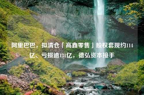 阿里巴巴，拟清仓「高鑫零售」股权套现约114亿、亏损逾131亿，德弘资本接手