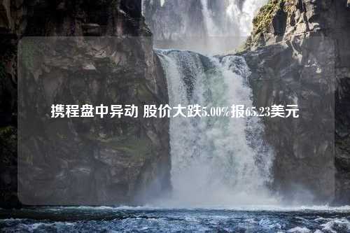 携程盘中异动 股价大跌5.00%报65.23美元