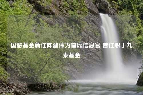 国融基金新任陈建伟为首席信息官 曾任职于九泰基金